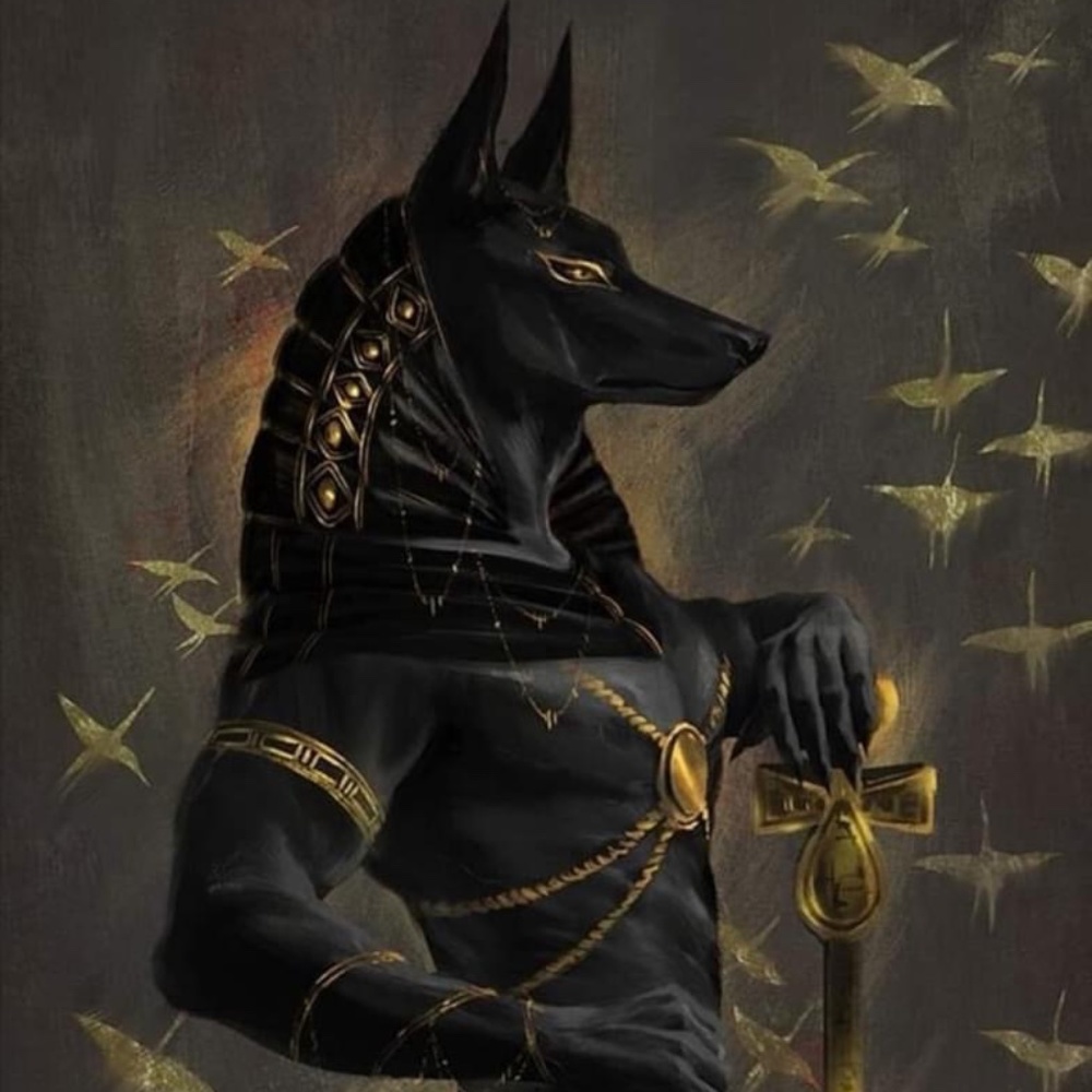 🖤Welcome🖤 - Picture 13 of 13